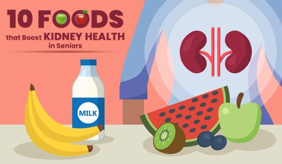 Excellent Top 10 Foods that Boost Kidney Health in Seniors