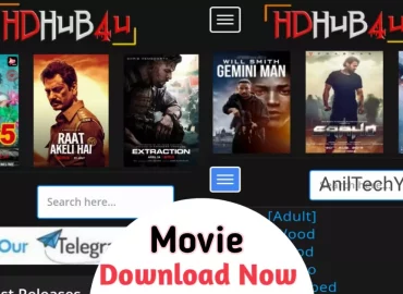 Is Downloading Movies From HDhub4U Legal?