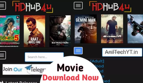 Is Downloading Movies From HDhub4U Legal?