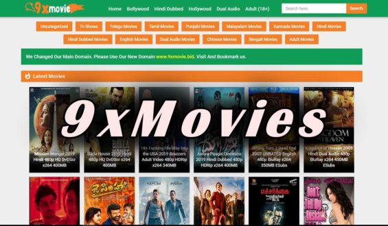 Is it Legal to Watch Movies From 9xmovies?