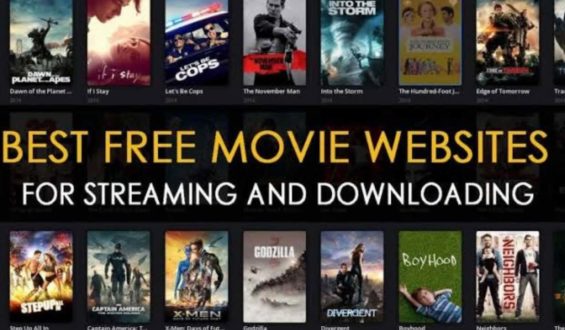 99hubhd – Is It Legal to Download Movies From a Piracy Website?