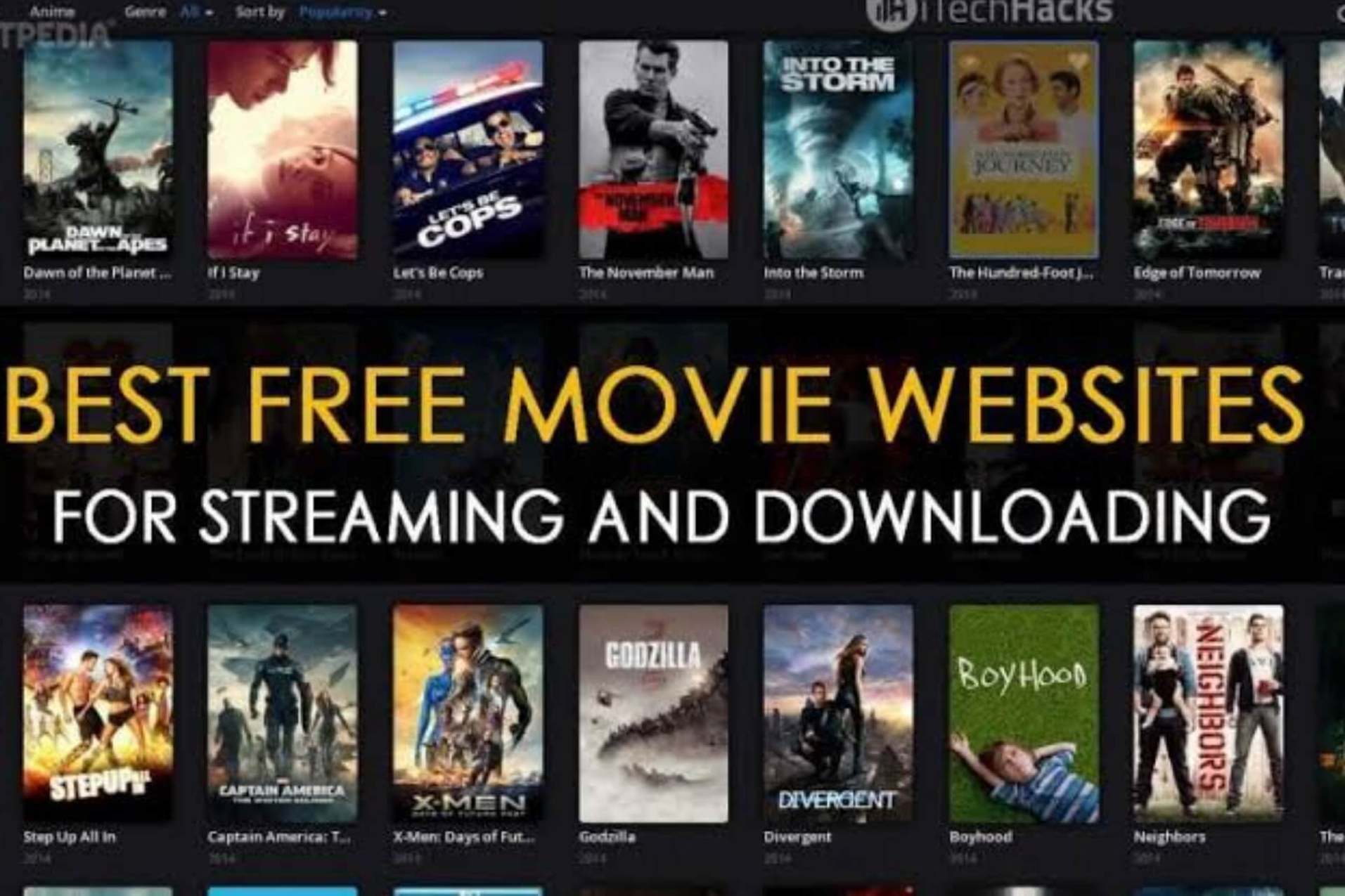 99hubhd – Is It Legal to Download Movies From a Piracy Website?